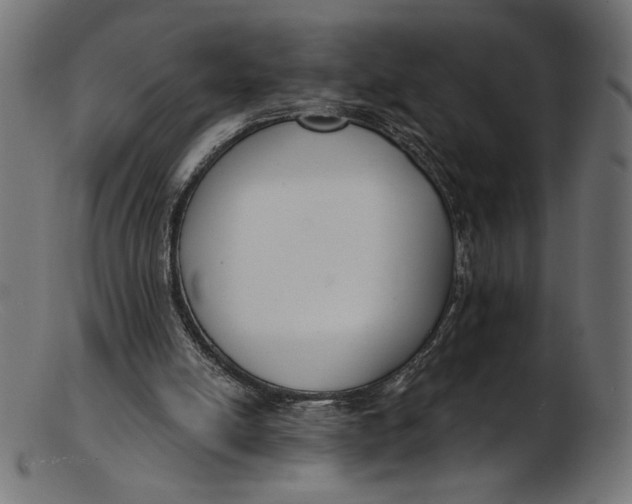 X0000103230054200809111539
