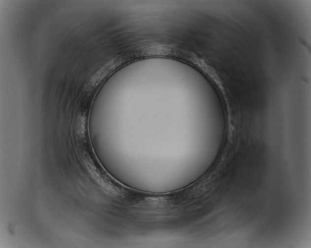 X0000103230057200809111539