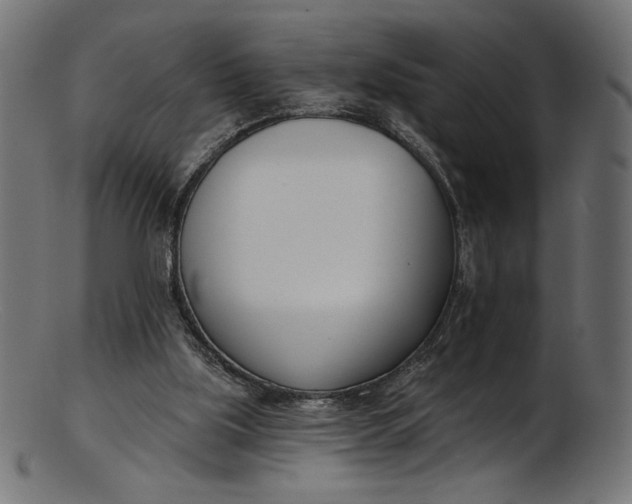 X0000103230059200809111539