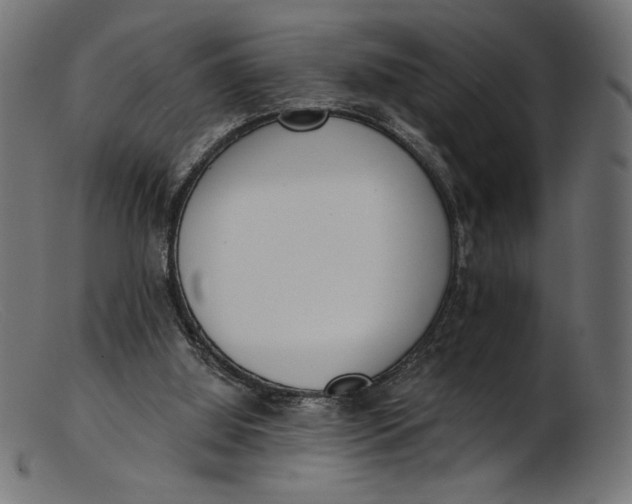 X0000103230060200809111539