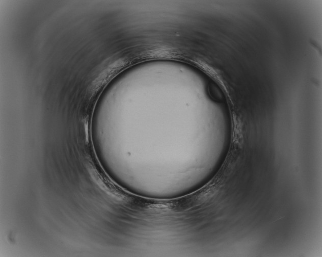 X0000103230061200809111539