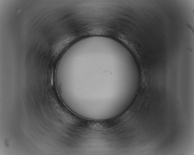 X0000103230062200809111539
