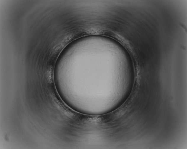 X0000103230065200809111539