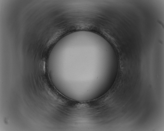 X0000103230067200809111539