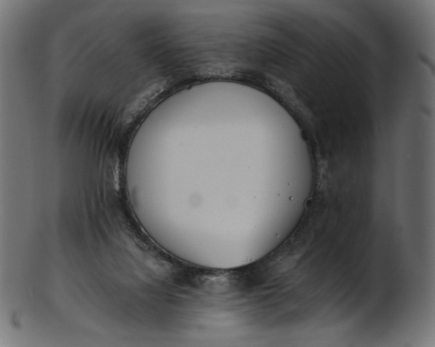 X0000103230068200809111539