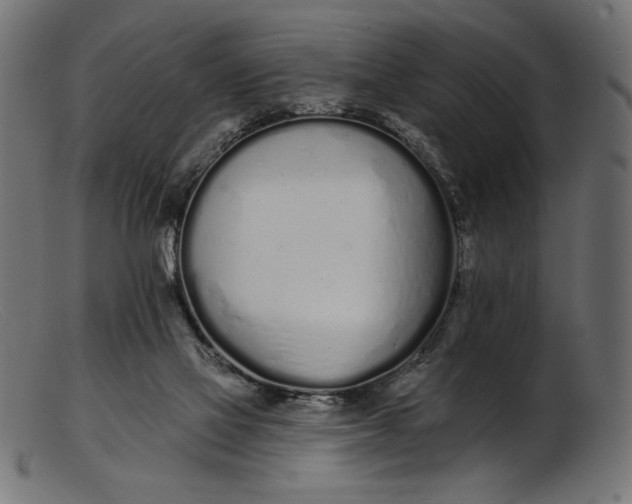 X0000103230069200809111539