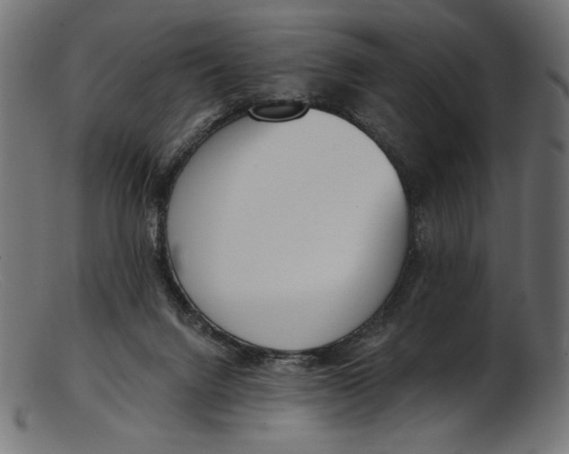 X0000103230072200809111539