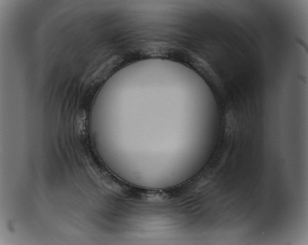 X0000103230073200809111539