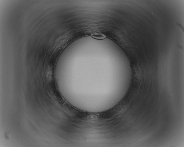 X0000103230080200809111539