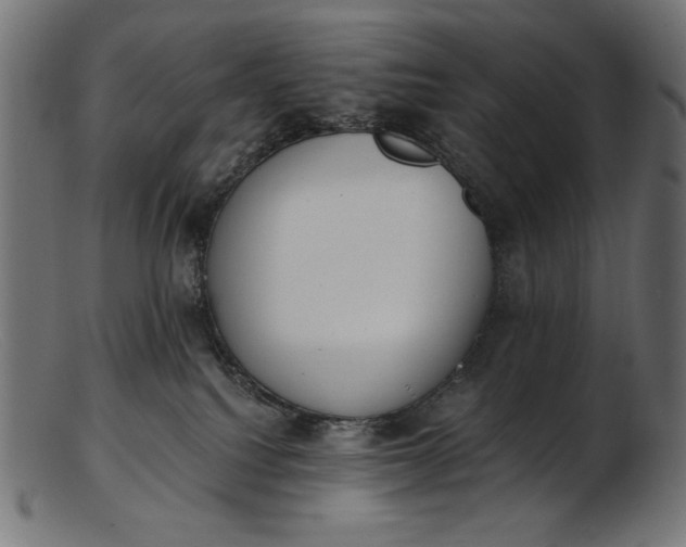 X0000103230088200809111539