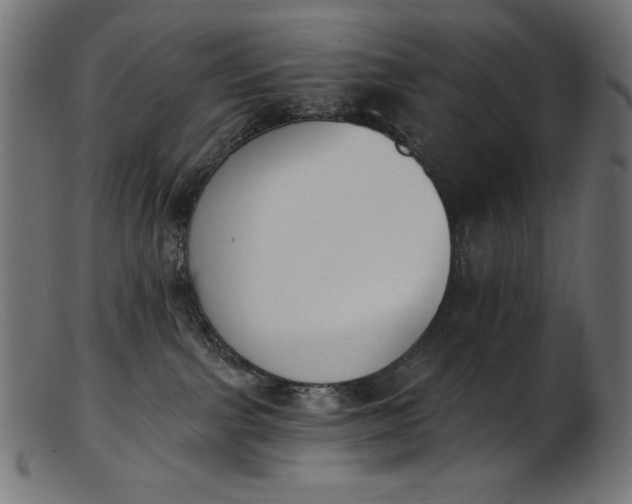 X0000103230091200809111539