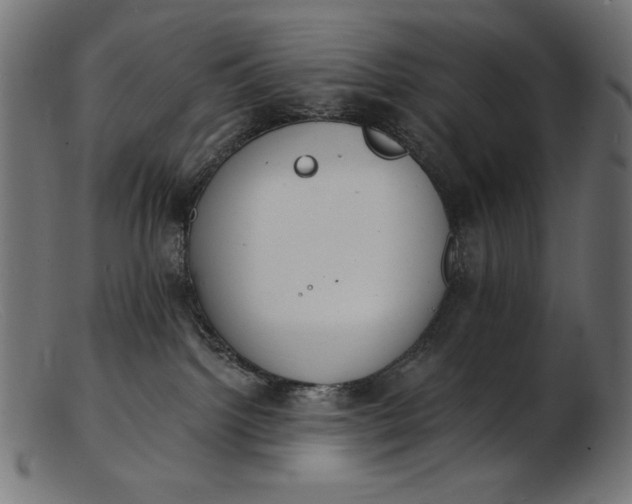 X0000103230092200809111539