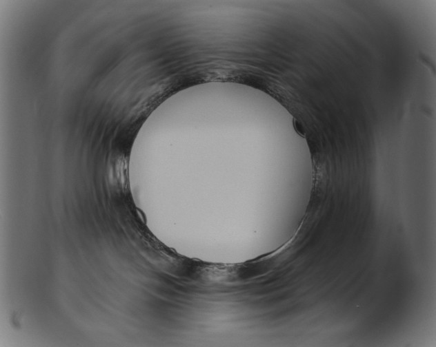 X0000103230094200809111539