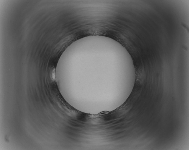 X0000103230095200809111539