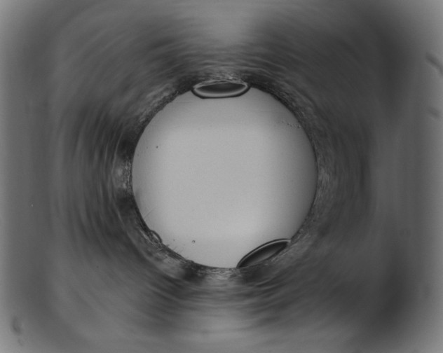 X0000103230096200809111539