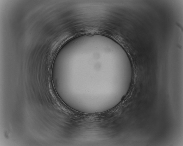 X0000103230097200809111539