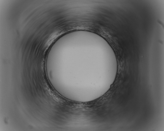 X0000103230098200809111539