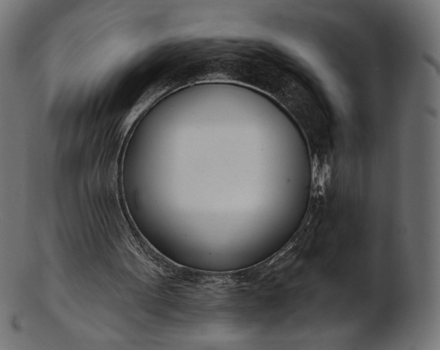 X0000103230099200809111539