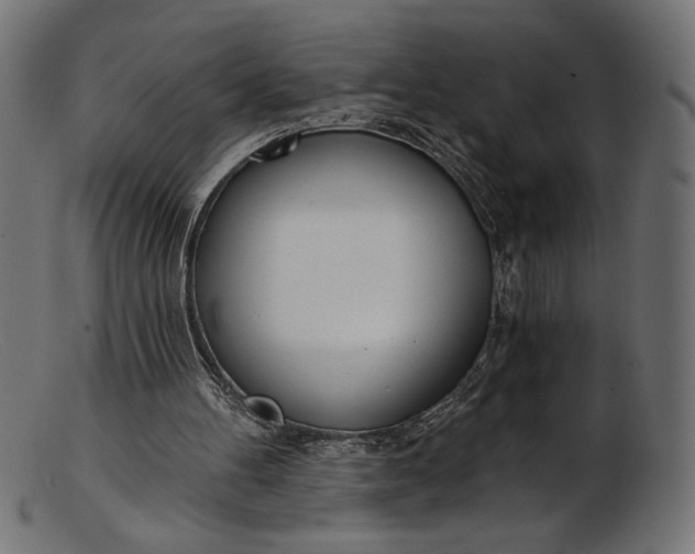 X0000103230100200809111539