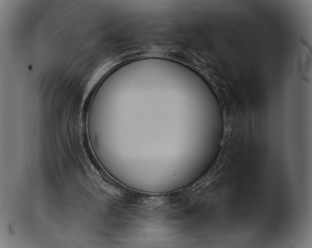X0000103230102200809111539