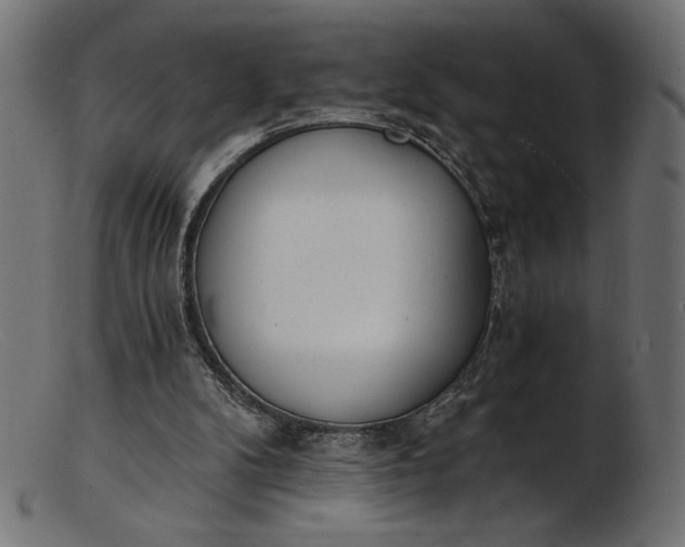 X0000103230104200809111539