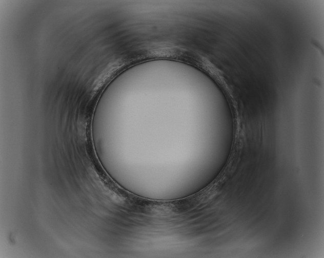 X0000103230106200809111539