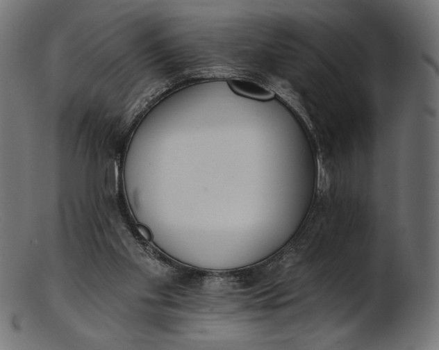 X0000103230109200809111539