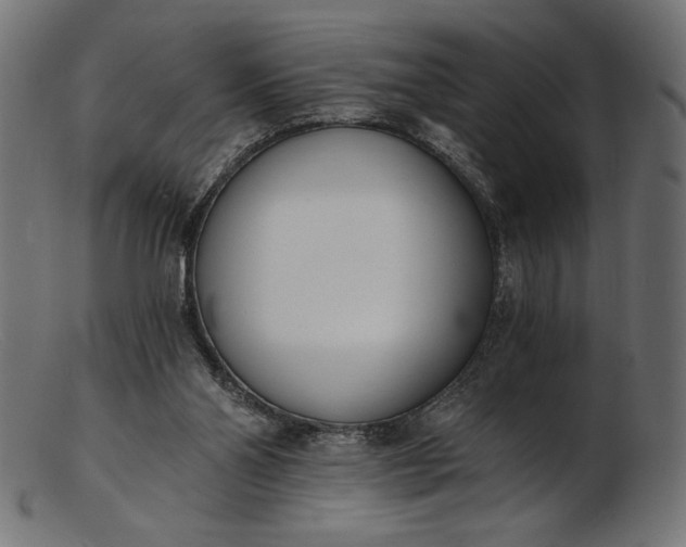 X0000103230110200809111539