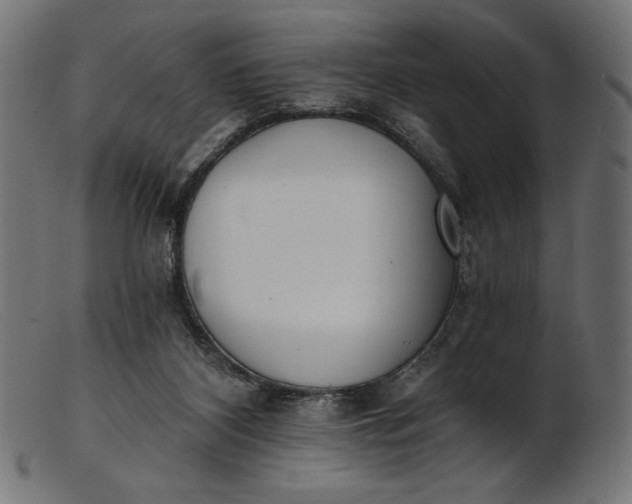X0000103230116200809111539