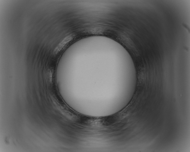 X0000103230120200809111538