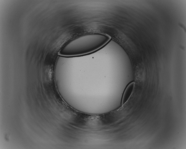 X0000103230124200809111538