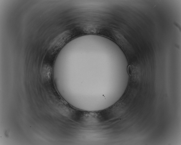 X0000103230125200809111538