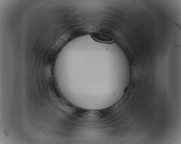 X0000103230128200809111538