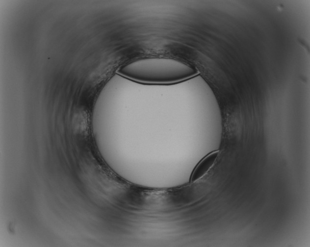 X0000103230132200809111538