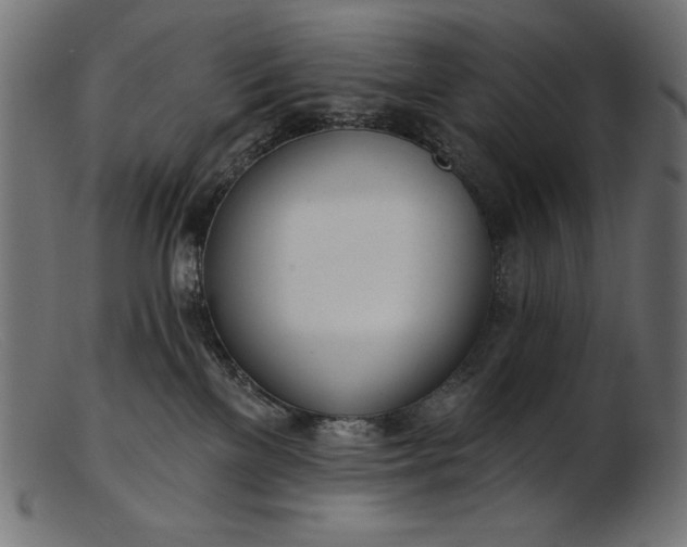 X0000103230137200809111538
