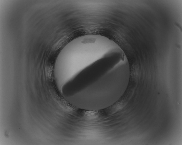X0000103230139200809111538