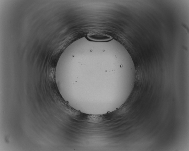 X0000103230141200809111538