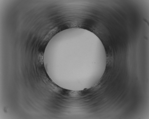 X0000103230142200809111538