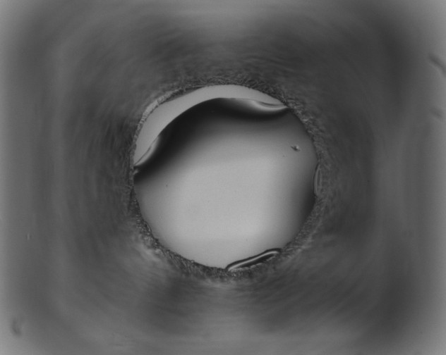 X0000103230144200809111538