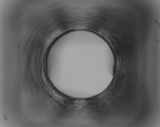 X0000103230145200809111538