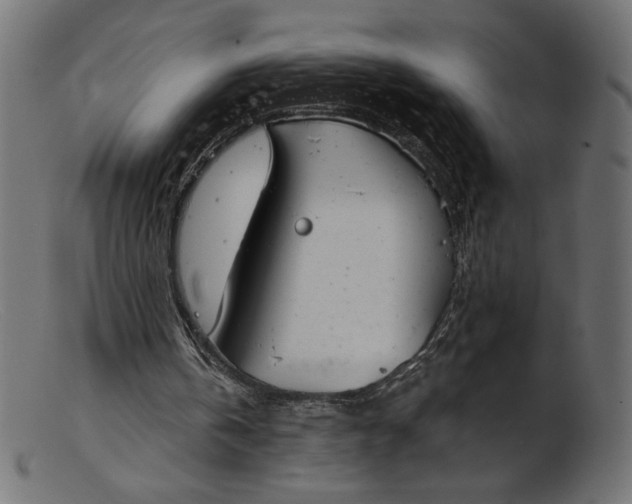 X0000103230146200809111538