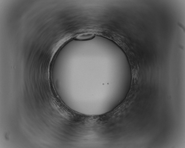 X0000103230148200809111538
