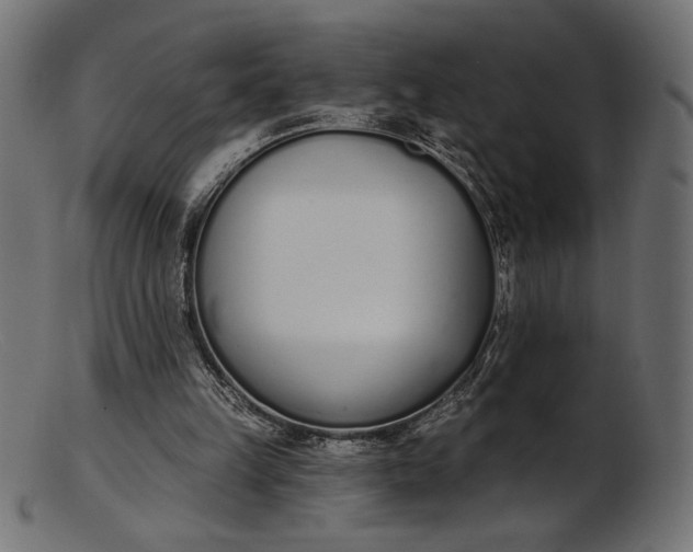 X0000103230149200809111538