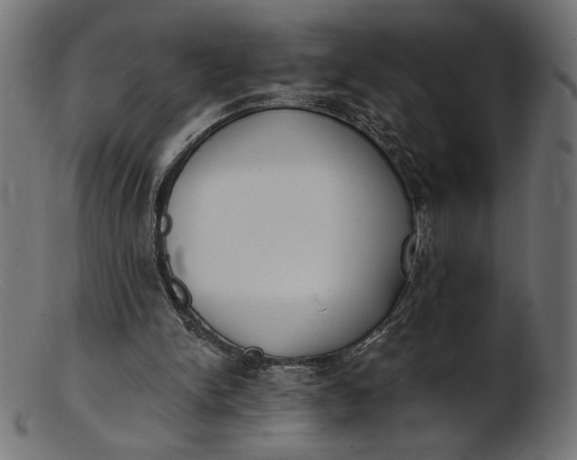 X0000103230150200809111538