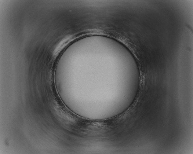 X0000103230151200809111538