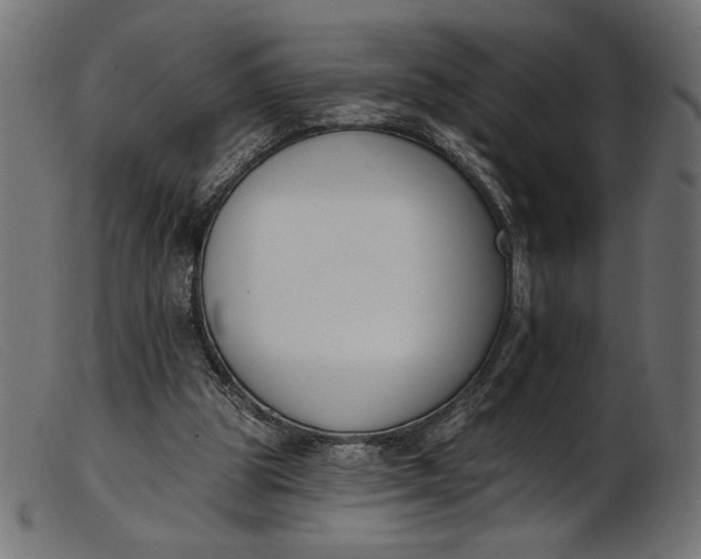 X0000103230153200809111538