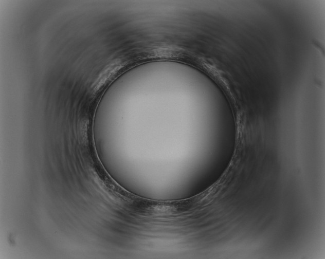 X0000103230154200809111538