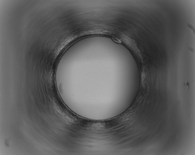 X0000103230156200809111538