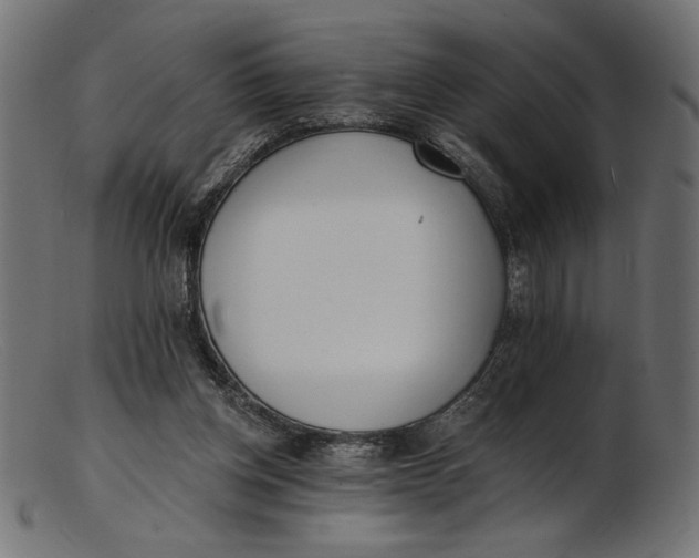 X0000103230158200809111538