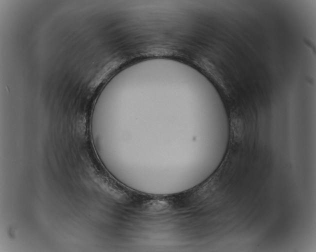 X0000103230159200809111538